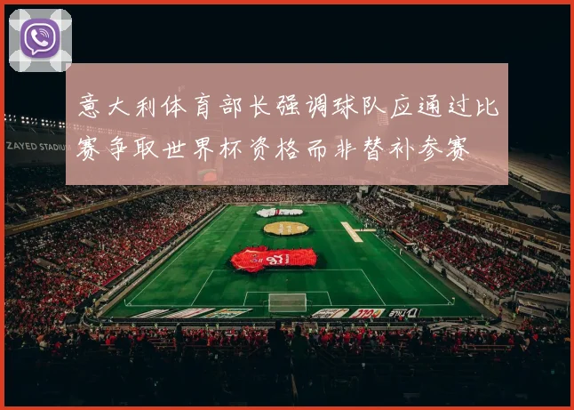 意大利体育部长强调球队应通过比赛争取世界杯资格而非替补参赛