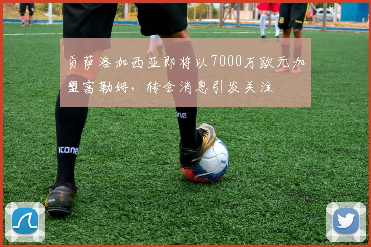 贡萨洛加西亚即将以7000万欧元加盟富勒姆，转会消息引发关注