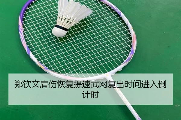郑钦文肩伤恢复提速武网复出时间进入倒计时